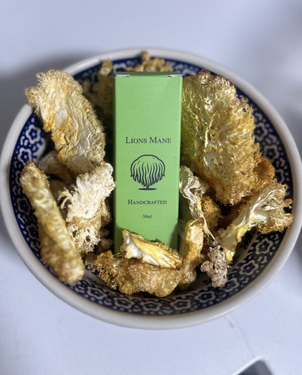 Triple Extract Tincture (Lion’s Mane)