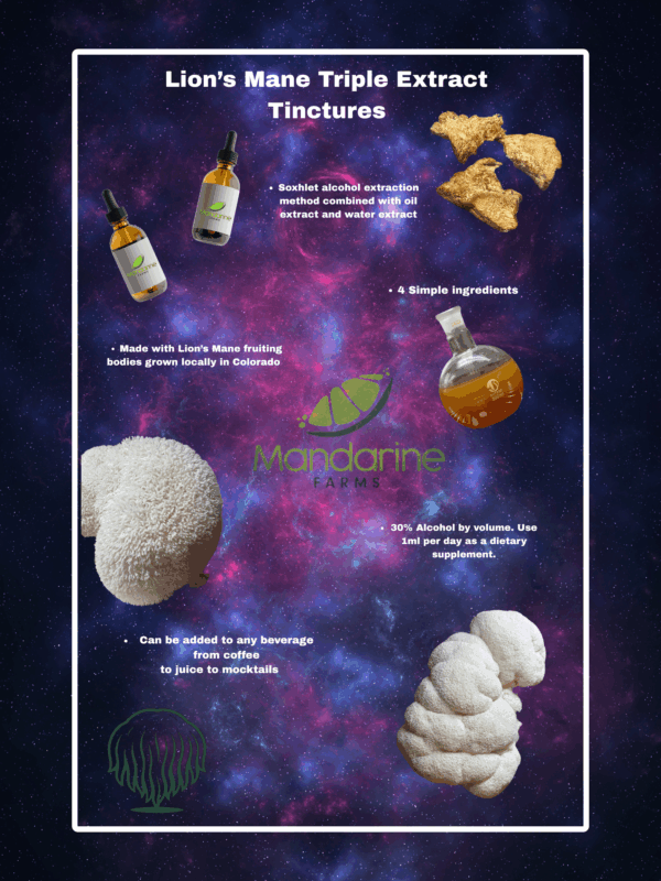 Triple Extract Tincture (Lion’s Mane)